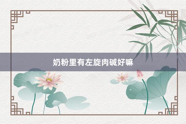 奶粉里有左旋肉碱好嘛